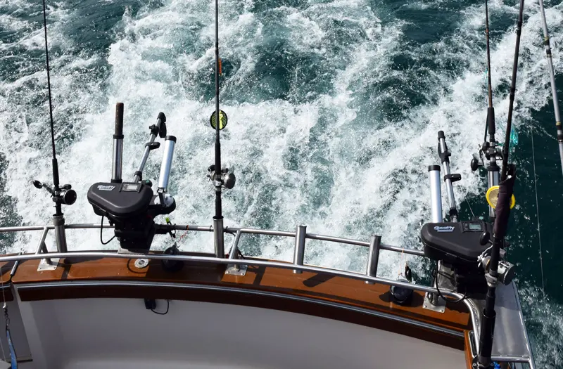 lake michigan fishing guide service