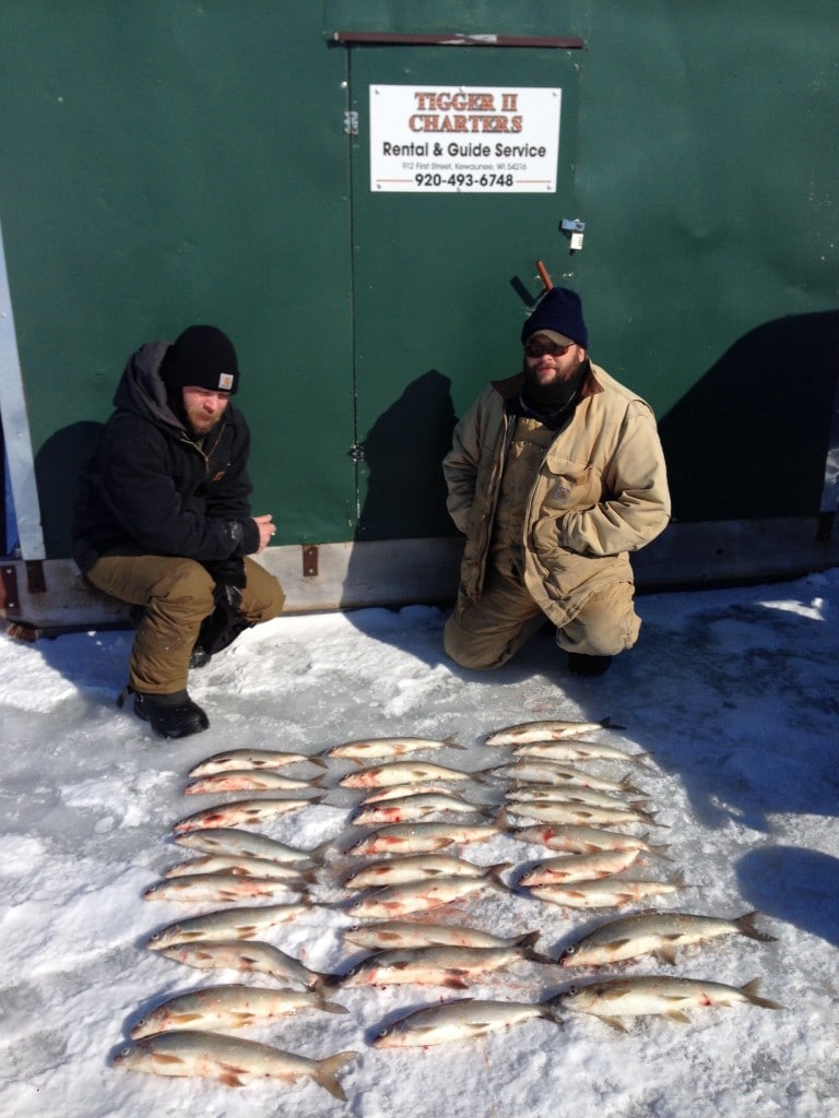 hot whitefish action ice fishing